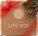Little Life Box Holiday Gift Box
