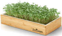 ZestiGreens Microgreen Kit