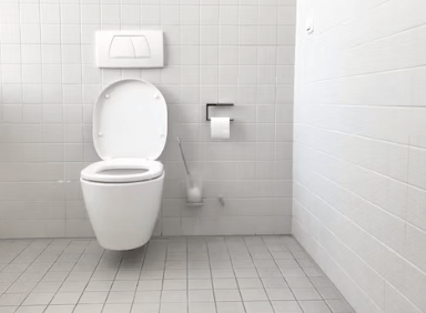 BidetMate Reviews: Is USA's Smart Bidet Toilet Seat worth the money?